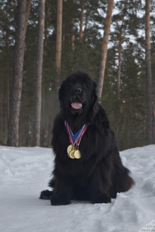 Фотография № 168944