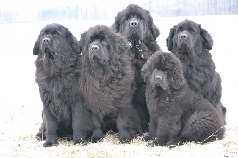 Фотография № 168962