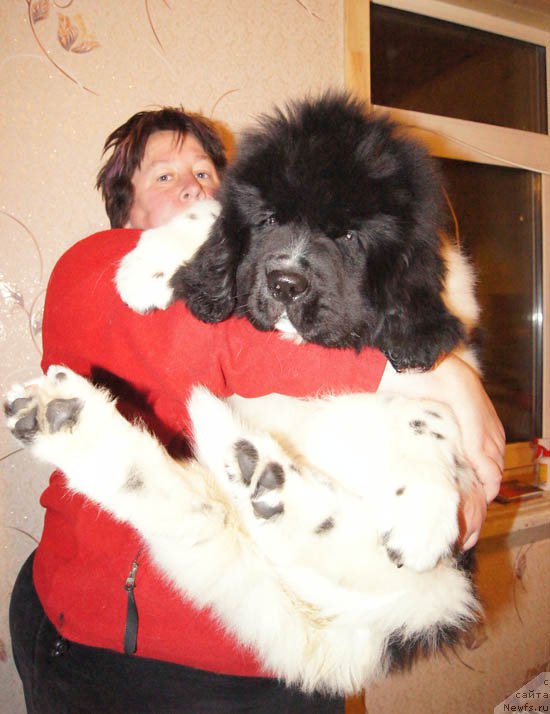 Фотография № 169028