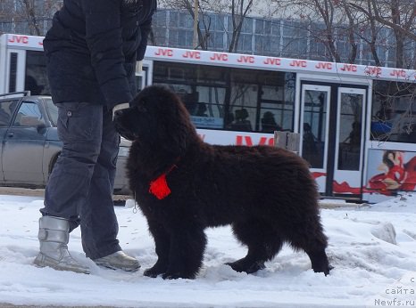 Фотография № 169041