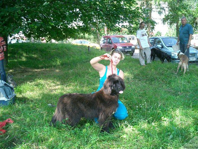 Фото: ньюфаундленд Гленджоан Эксо (Glendzhoah Ekso)