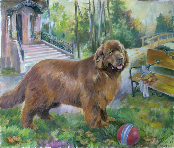 Фотография № 169094