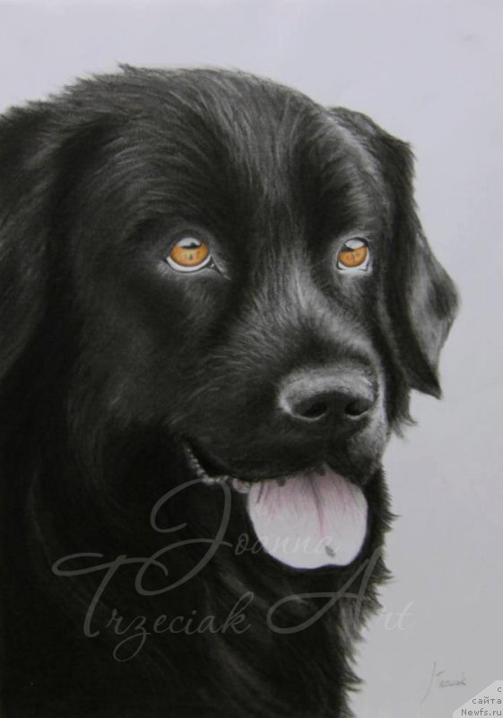 Фотография № 169106