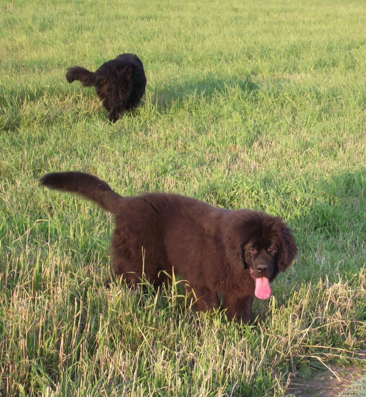 Фотография № 169109