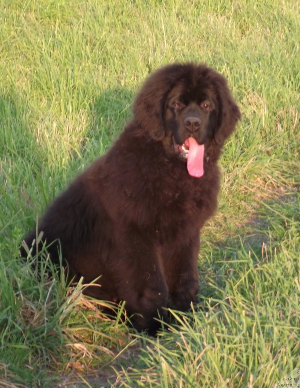 Фотография № 169110