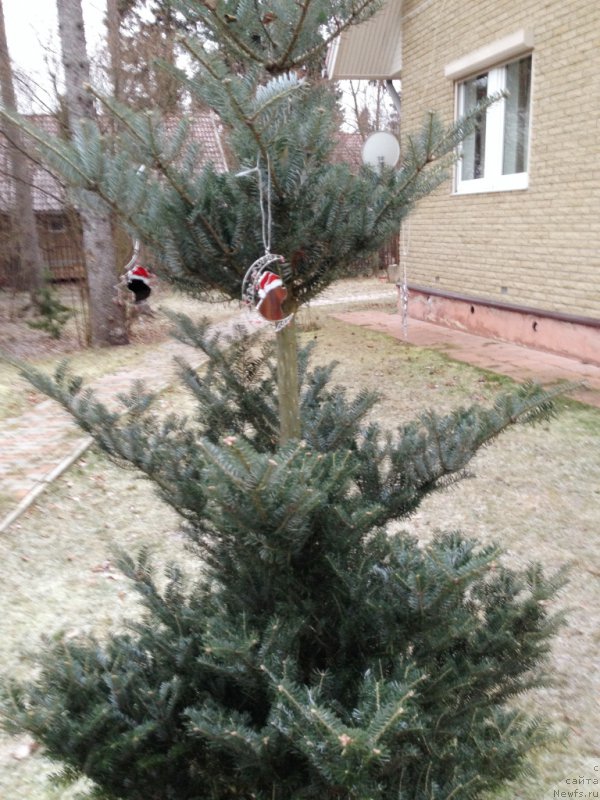 Фотография № 169126