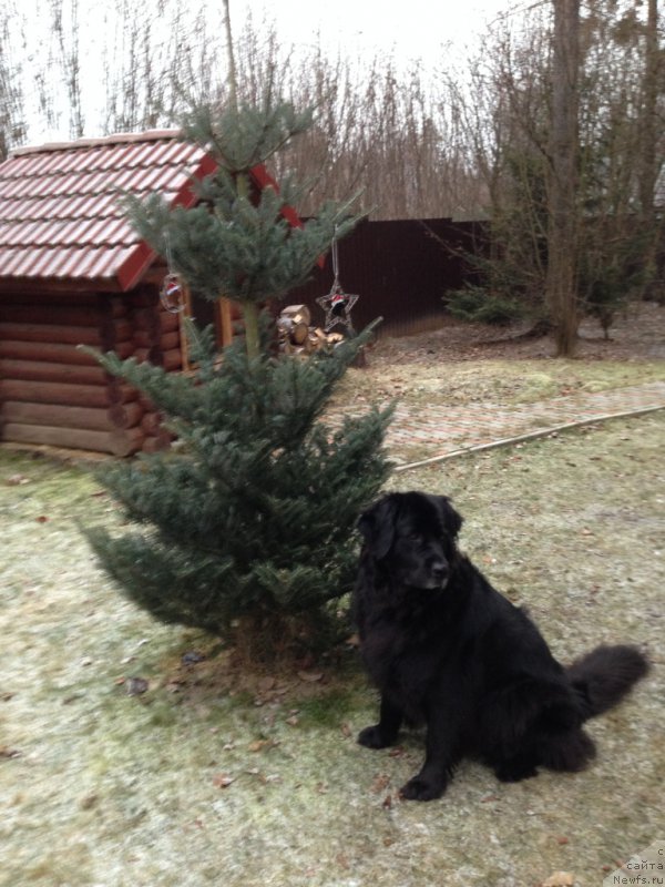 Фотография № 169128