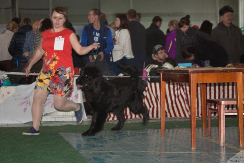 Фотография № 169131