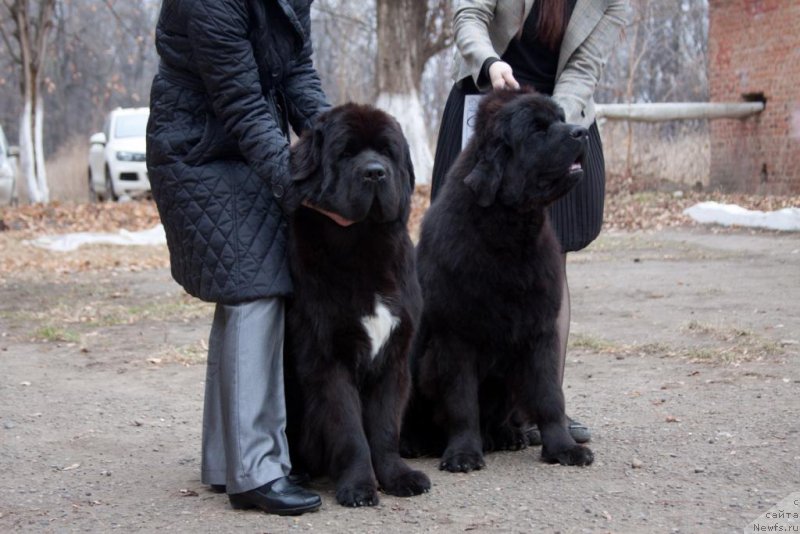 Фотография № 169135