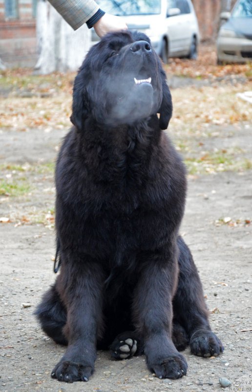 Фотография № 169150