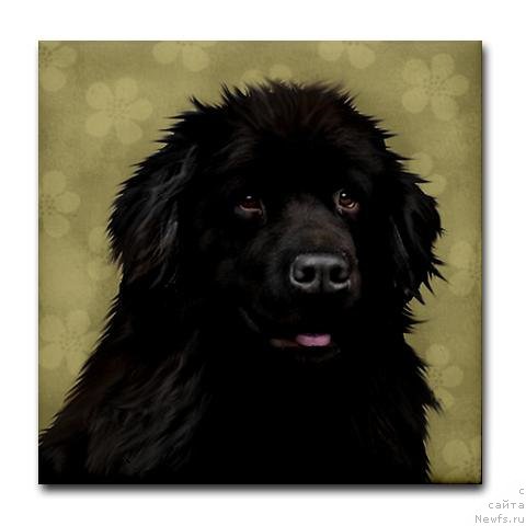 Фотография № 169158