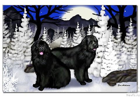 Фотография № 169159