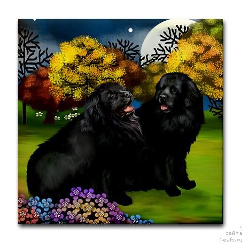 Фотография № 169162