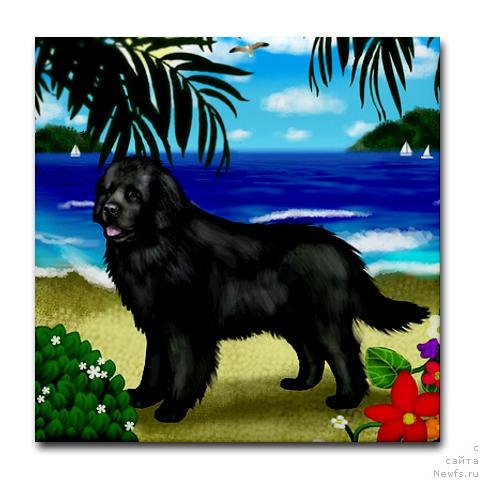 Фотография № 169164