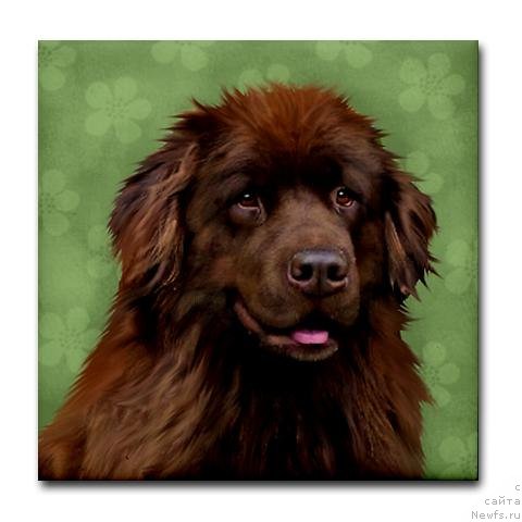 Фотография № 169165