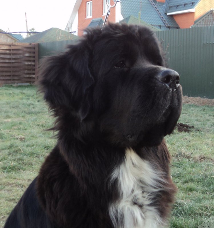 Фотография № 169170