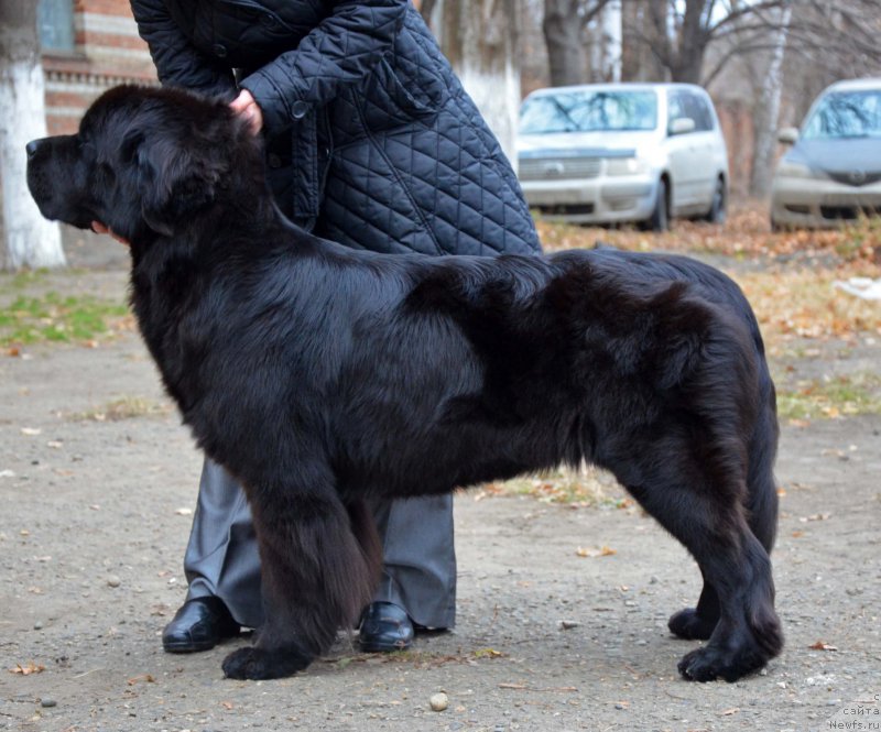 Фотография № 169186