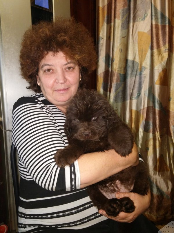 Фотография № 169196