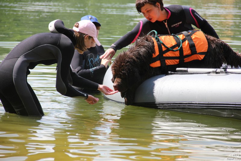 Фотография № 169200