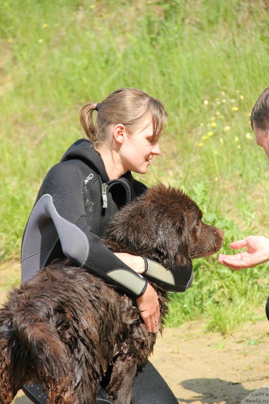 Фотография № 169201