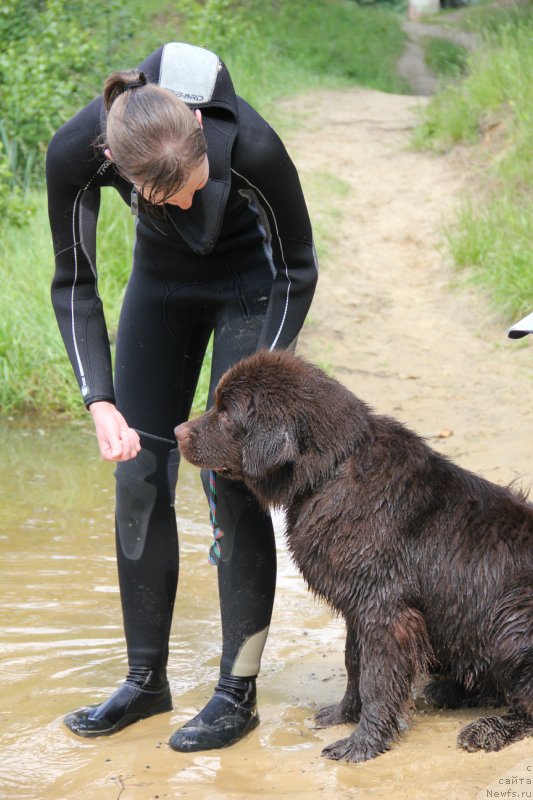 Фотография № 169202