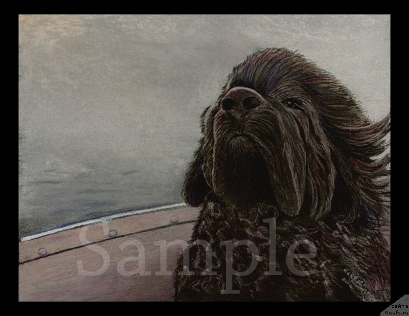 Фотография № 169229