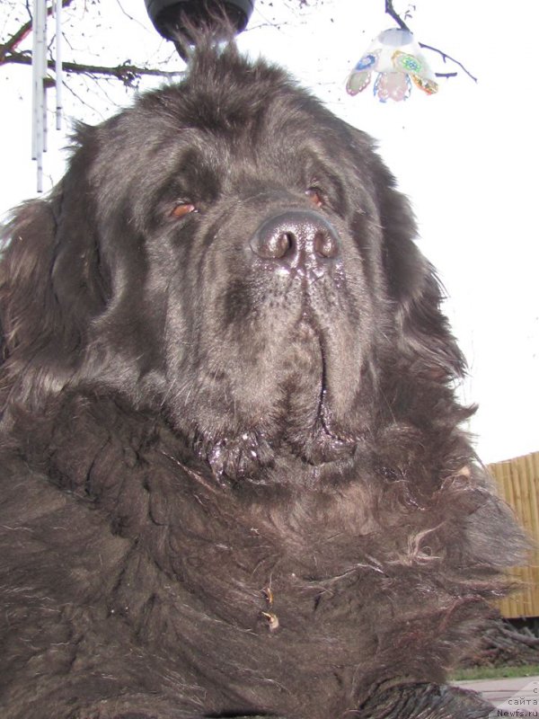 Фотография № 169230