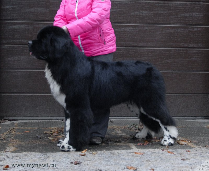 Фотография № 169232