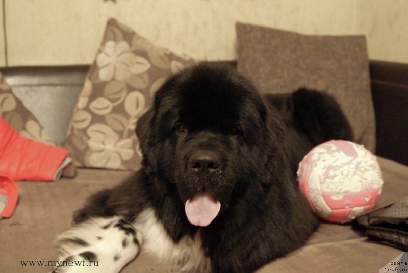 Фотография № 169234