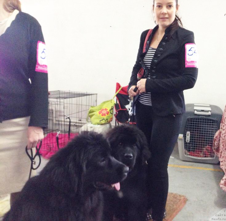 Фото: Бегущая по волнам Чек Пойнт, Наталья Кузнецова