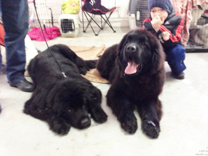 Фотография № 169237