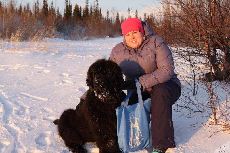 Фотография № 169252