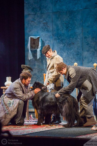 Фотография № 169270