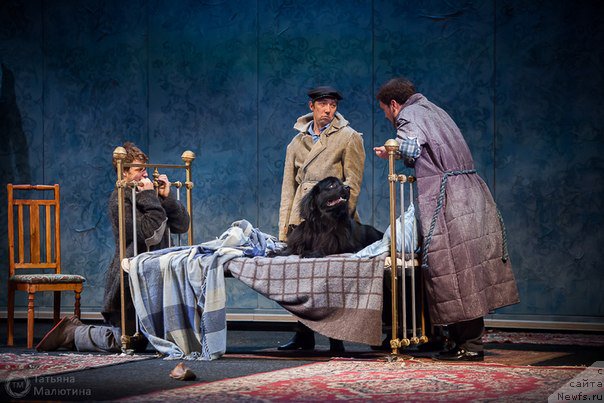 Фотография № 169271