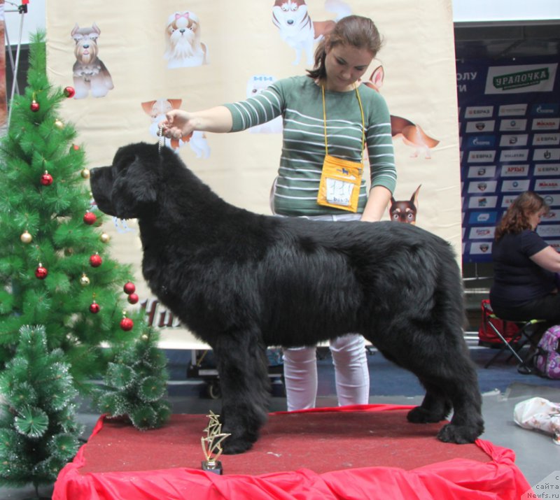 Фотография № 169278