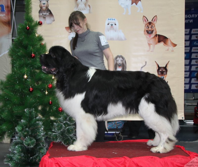 Фотография № 169280