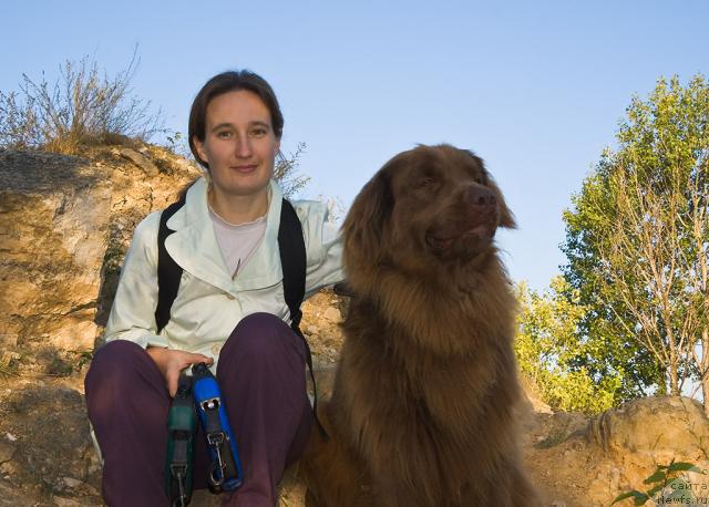 Фото: Надежда Момот, ньюфаундленд Лесная Сказка Изольда