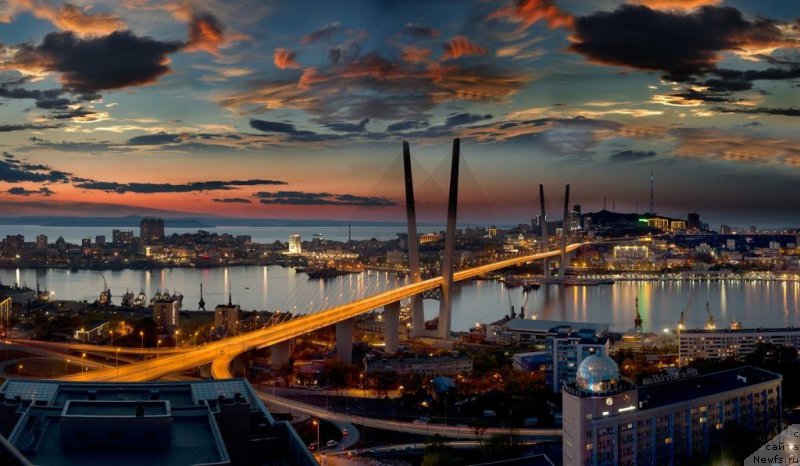 Фотография № 169291