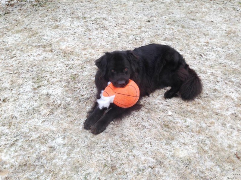 Фотография № 169297