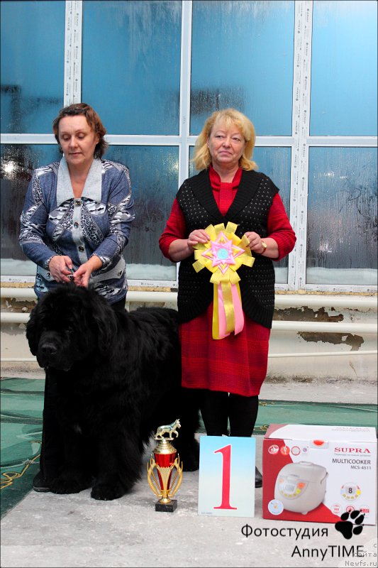 Фотография № 169304