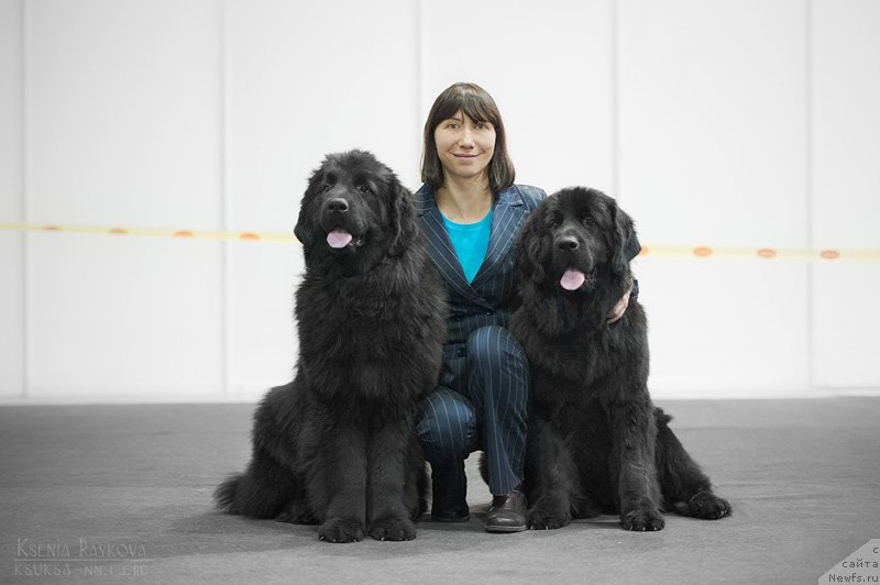 Фотография № 169315