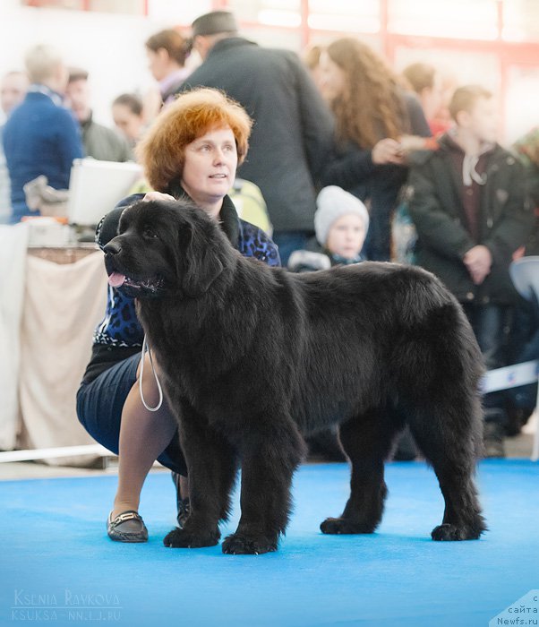 Фотография № 169316