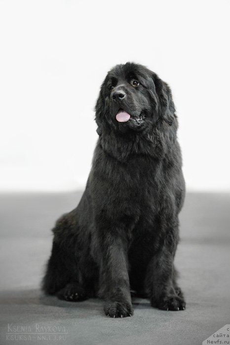 Фотография № 169318