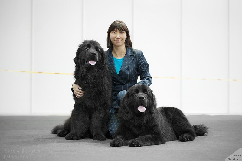 Фотография № 169319