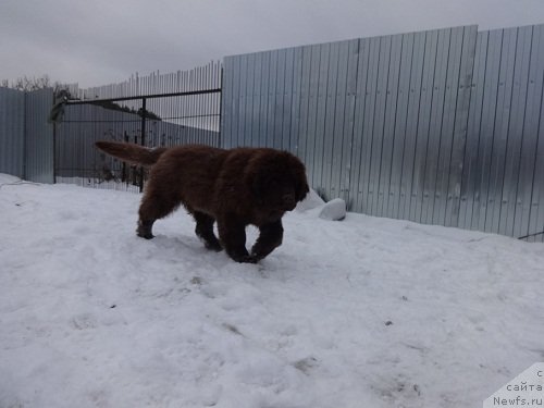 Фотография № 169331