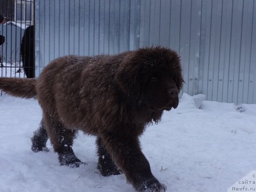 Фотография № 169332