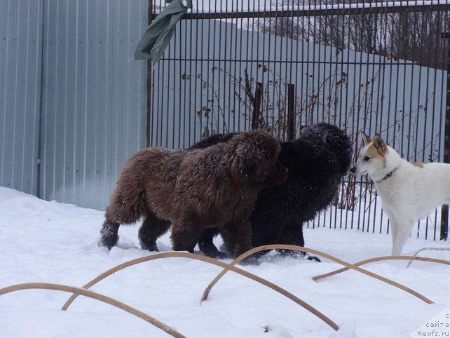 Фотография № 169333