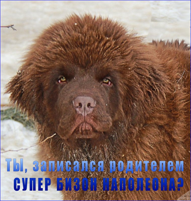 Фотография № 169357