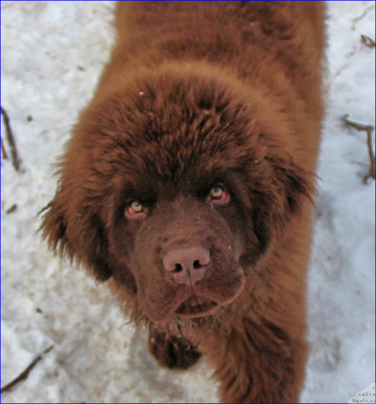 Фотография № 169382