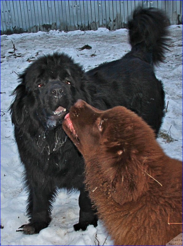 Фотография № 169383